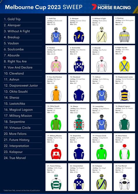 melbourne cup sweep|Melbourne Cup sweep: All the runners, how to play, .